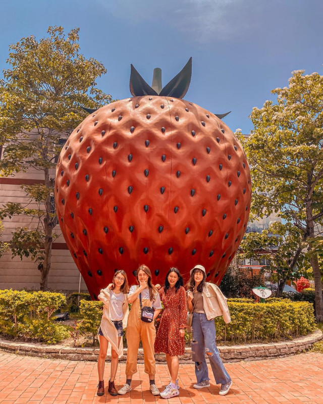 大湖草莓文化館(大湖洒莊)