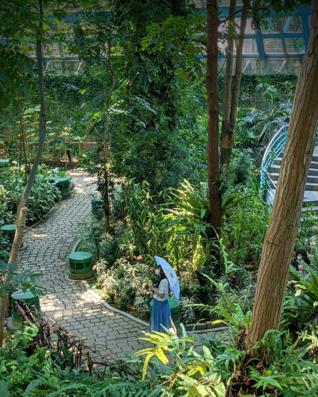 台中植物園