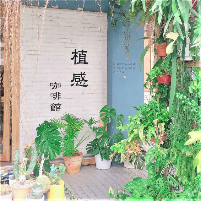 植感咖啡_Botanical Café